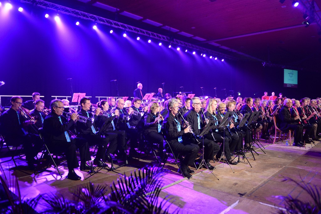 ../Images/Jubileumconcert 100 jaar Harpe Davids 045.jpg